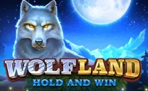 Sign up and play Wolf Land Hold and Win at Wolf Winner casino.
